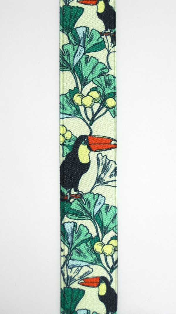 P736-0.1　Toucan