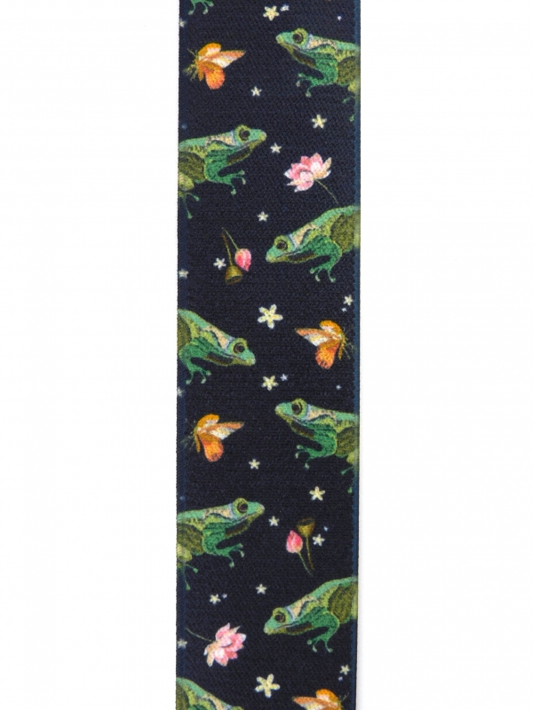 N04C-0.1　　　　　　　　Frogs（カエル）